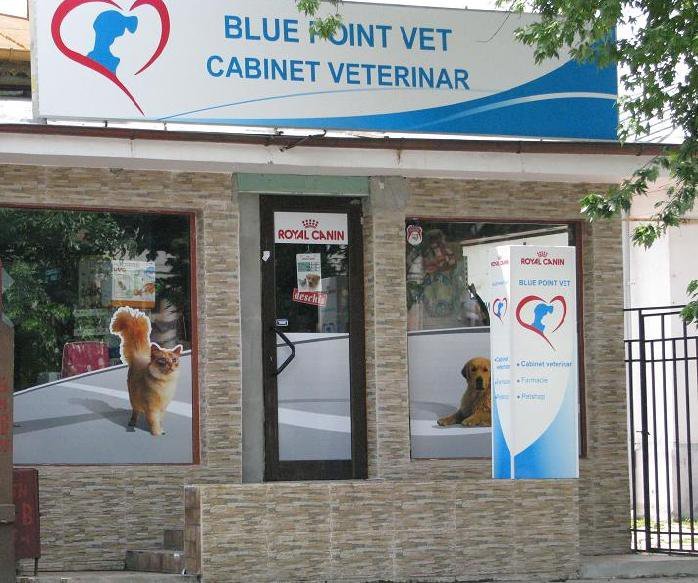 Blue Point Vet - cabinet veterinar