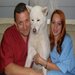 Blue Point Vet - cabinet veterinar